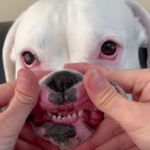 Meet your Posher, Max